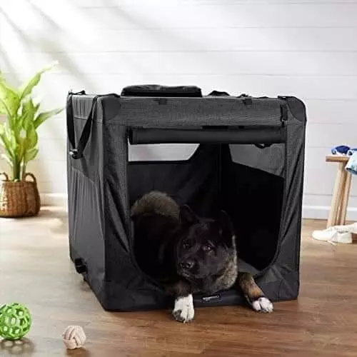AmazonBasics Premium Portable Soft Pet Crate