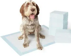 AmazonBasics Pet Training Pads