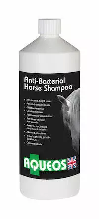 Aqueos Anti-Microbial Shampoo