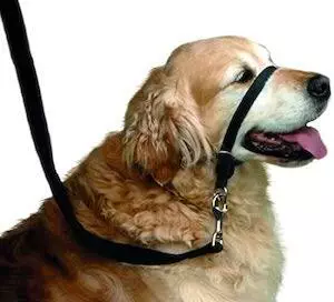 Beaphar Gentle Leader Black Dog Head Collar Medium
