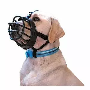 Company of Animals Baskerville Ultra Muzzle for Dogs