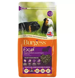 Burgess Excel Tasty Nuggets with Blackcurrant and Oregano