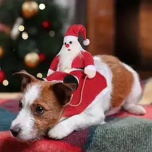 Father Christmas Costume