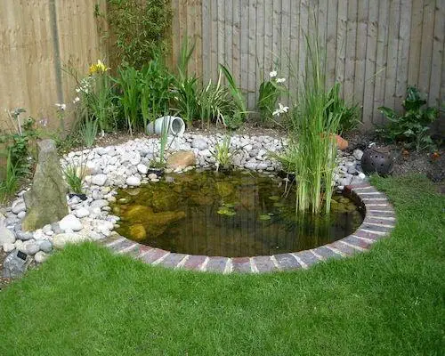 Garden Pond Idea
