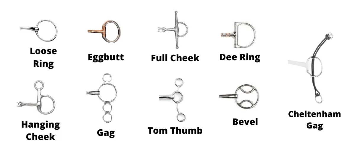 Horse Bit Ring Types