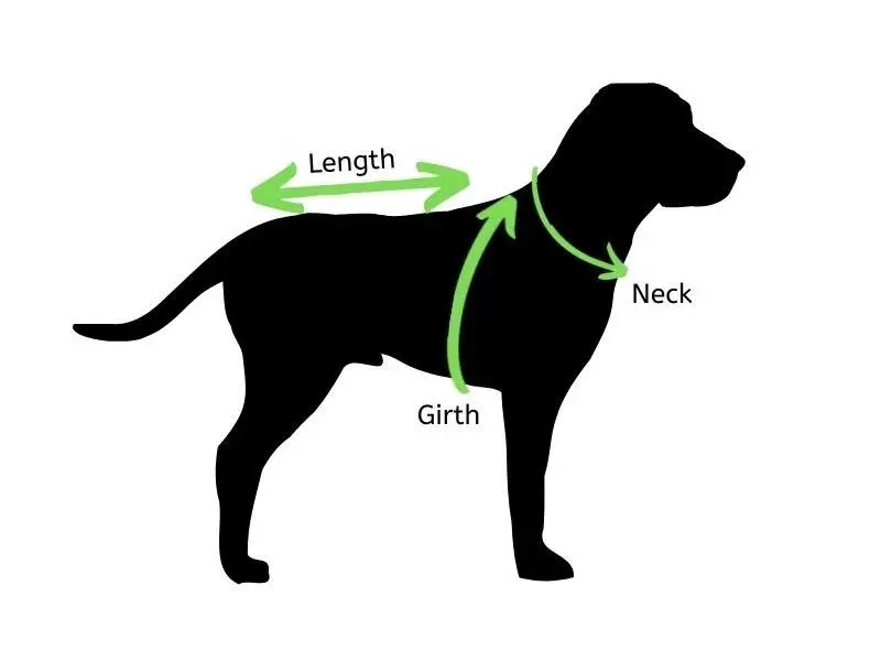 How to measure a dog for a harness