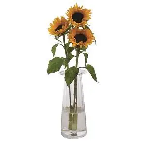 Indoor Sunflower