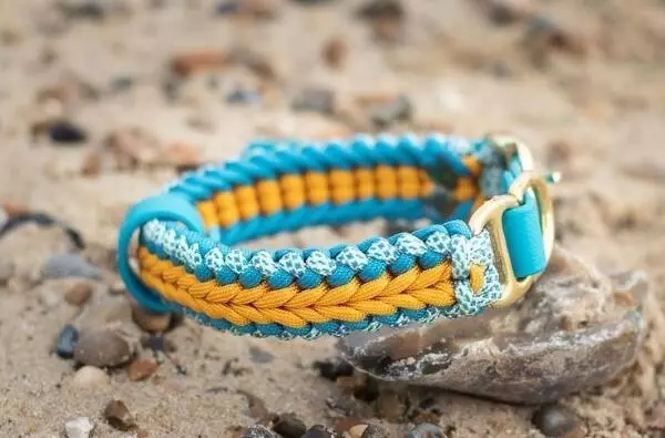 beautiful braided london pup collar