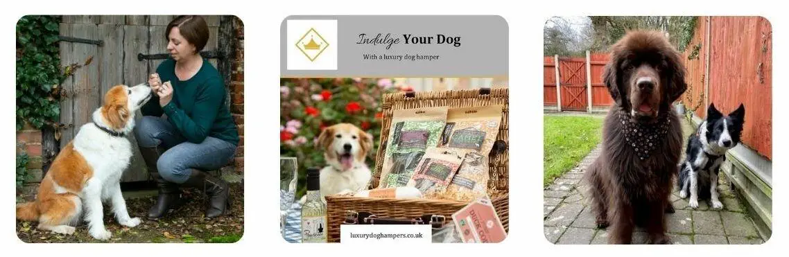 Luxury Dog Hamper