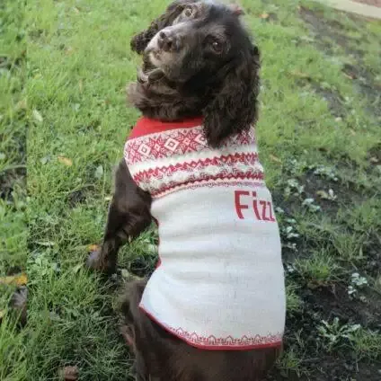 Personalised Knitted Christmas Dog Jumper