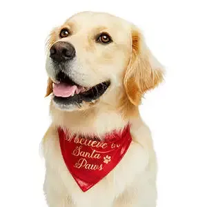 Pets at Home Christmas Santa Paws Dog Bandana