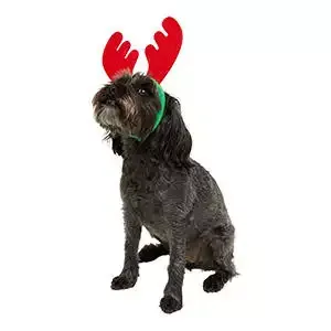 Christmas Reindeer Headband for Dogs