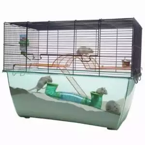 Best Gerbil Cages (Gerbilariums) Reviewed for 2025 - Petz