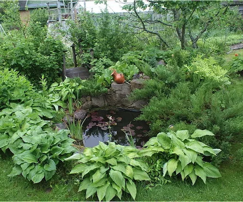 Swell UK Pond Ideas