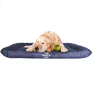 The Dog’s Bed Premium Waterproof Dog Bed