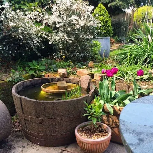 The Middle Sized Garden Pond Idea