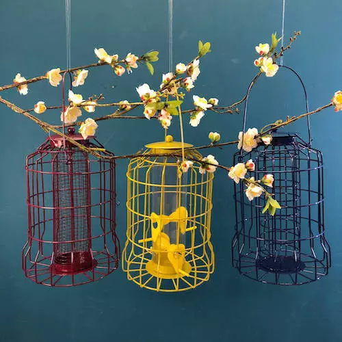 Trio Of Colourful Hanging Bird Feeders