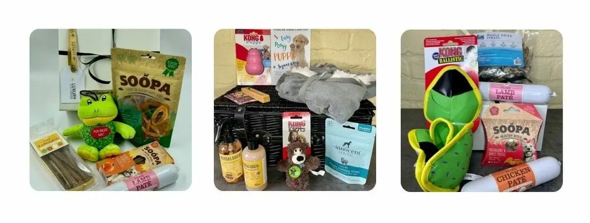 Luxury Dog Hampers 