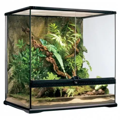 a glass reptile terrarium