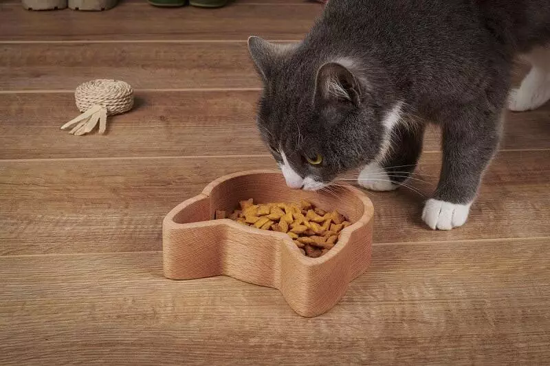 Wooden Cat Bowl