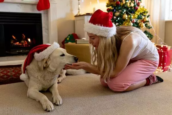 do dogs need christmas presents