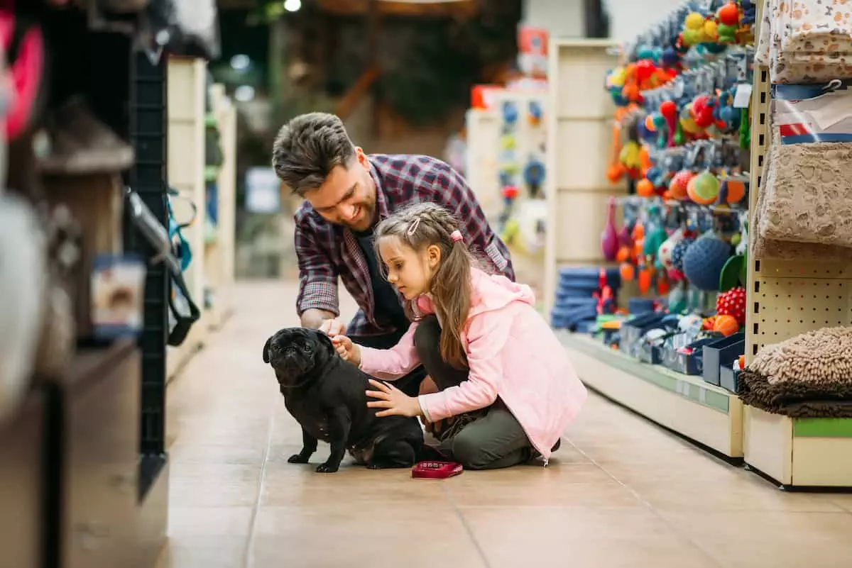 Father and daughter go shopping with pug