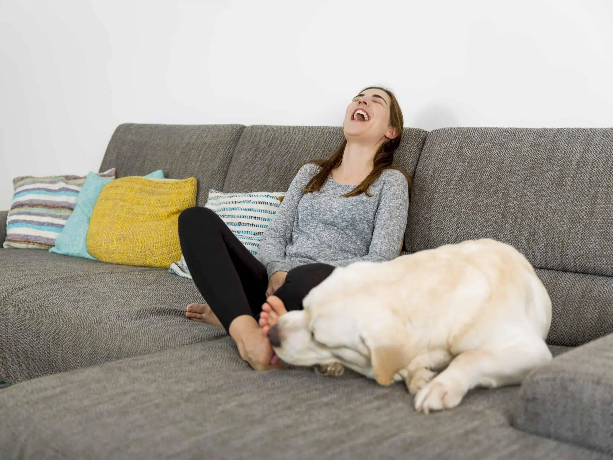 Dog licks owners feet