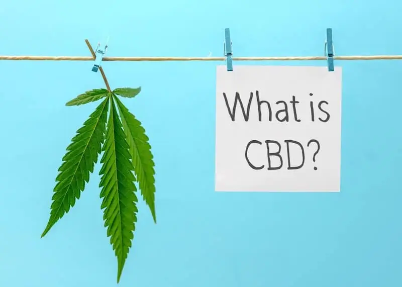 what is cbd oil