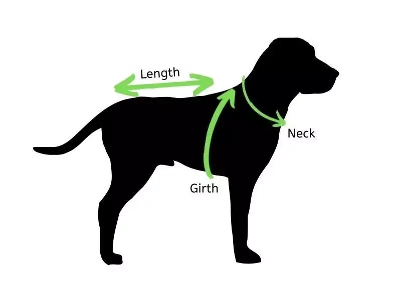 How To Measure A Dog For A Harness Petz