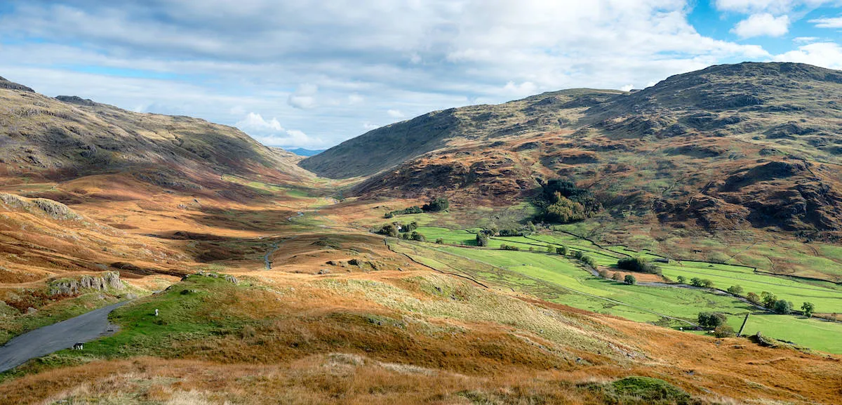 Best DogFriendly Hotels In The Lake District Reviewed for 2023 Petz